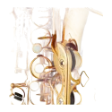 Saxofone Alto Yamaha YAS-480 ? Sanganxa.com