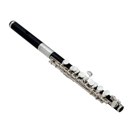 FLAUTIN JUPITER JPC1010 EN ABS Jupiter - 1