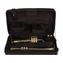 CASE 2 TRUMPETS PROTEC PB301VAX Protec - 4