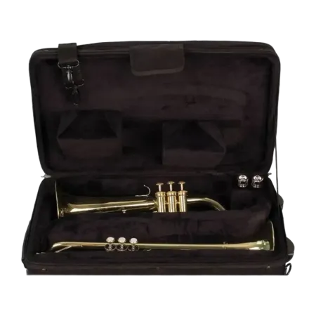 CASE 2 TRUMPETS PROTEC PB301VAX Protec - 4