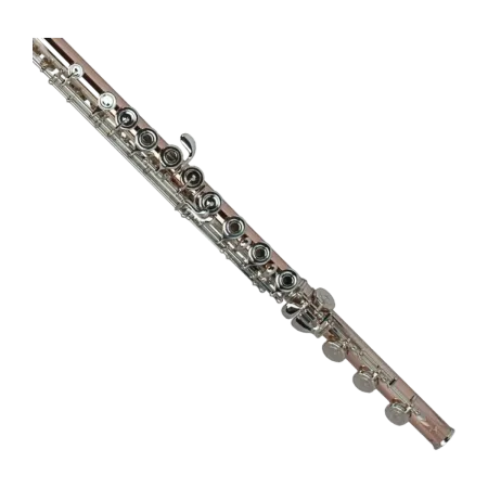 FLUTE POWELL AURUMITE 9K RBE HANDMADE Powell - 3
