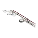WOODEN FLUTE POWELL CUSTOM GRANADILLO RBE Powell - 2