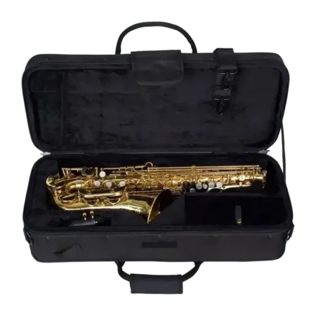 HIGH SAX CASE PROTEC PB304 Protec - 2