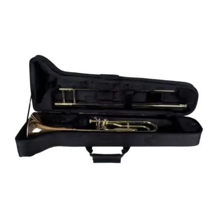 ESTUCHE TROMBON PROTEC MAX MX306CT 2