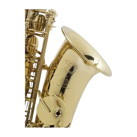 SAX ALTO SELMER SELES SERIES AXOS Selmer - 2