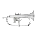 FLISCORNO JUPITER JFH 1100 RS Jupiter - 1