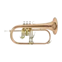 FLISCORNO BACH FH 501L LACQUERED PISTONS Bach - 1