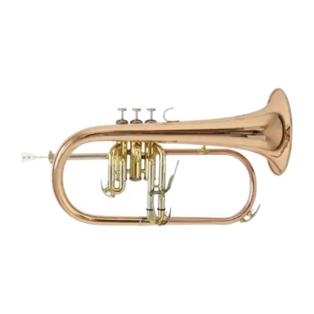 FLISCORNO BACH FH 501L LACQUERED PISTONS Bach - 1