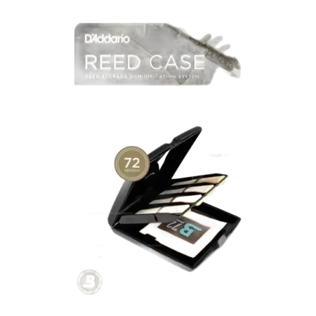 RICH HEADGUARD RVCASE04 MULTI-BUILDING Rico - 2