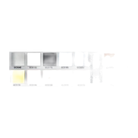BOMBO GONALCA BAND MOD 4044 22" 55 x 34 CM. STANDARD Gonalca - 2
