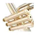 FLISCORNO ADAMS F1 CUSTOM SERIES REDBRASS MATE LACQUER Adams - 6