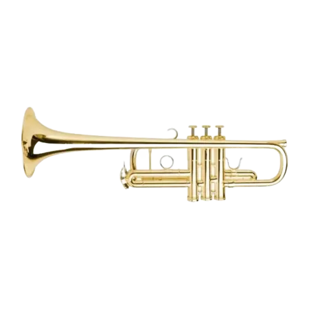 TRUMPET ADAMS C1XL 0.55 LACQUERED GOLDMESSING IN C Adams - 3