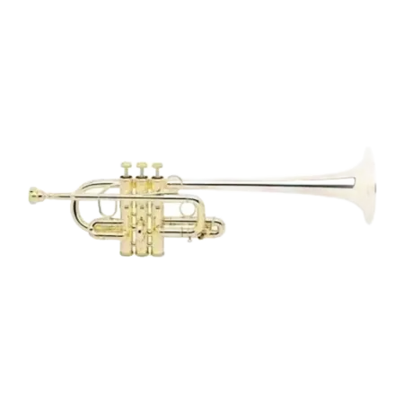 TROMPETA BACH 189L 239/25E LACADA EN MIB/RE -3