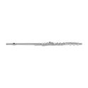 FLUTE MIYAZAWA MJ 101 STRBE HEAD AND SILVER BODY Miyazawa - 1