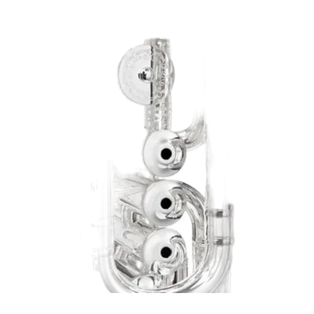 TUBA B&S PT-6P PERANTUCCI 3198 PLATEADA B&S - 4
