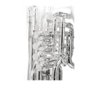 TUBA B&S PT-6P PERANTUCCI 3198 SILVER B&S - 5