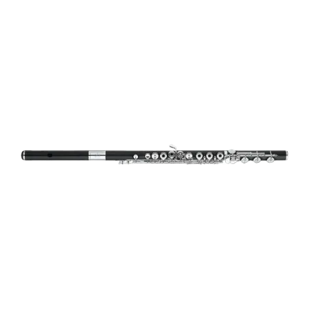 SANKYO WF-BE WOODEN FLUTE Sankyo - 1