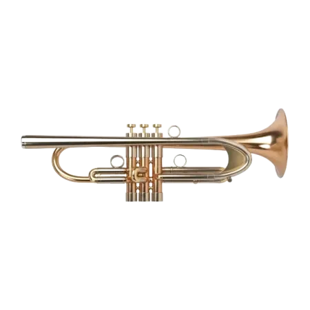 TRUMPET ADAMS A8 CUSTOM SERIES GOLDBRASS MATE Adams - 1