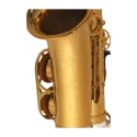 SAXOPHONE HIGH YAMAHA YAS-875EX GP Yamaha - 3