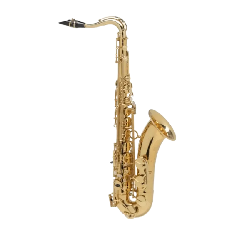 TENOR SAXOPHONE SELMER SELES SERIES AXOS Selmer Seles - 1