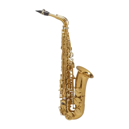 SAXO ALTO SELMER SUPREME DGG GOLDMESSING Selmer - 1