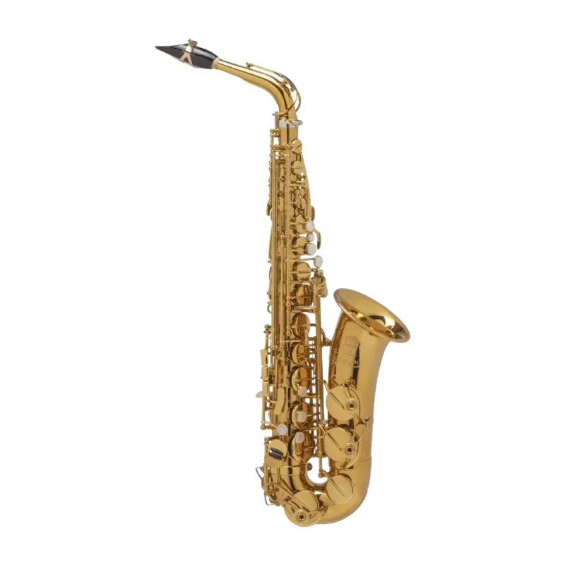 SAXOPHONE HIGH SELMER SUPREME DGG GOLDMESSING Selmer - 1