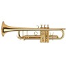 TRUMPET ADAMS A10 0.50 LACQUER ML Adams - 1