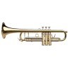 TRUMPET ADAMS A2 0.50 S. LACQUERED Adams - 1