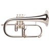 FLISCORNO ADAMS SONIC 0.55 SILVER Adams - 1