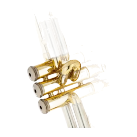 Trompete B&S 210 Prodige Lacado - Sanganxa.com
