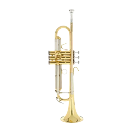 TROMPETA B&S 210 PRODIGE LACADA EN SIB -1