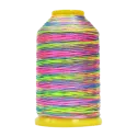 Carretel de fio Rigotti Nylon 174B Multicolor - Sanganxa.com