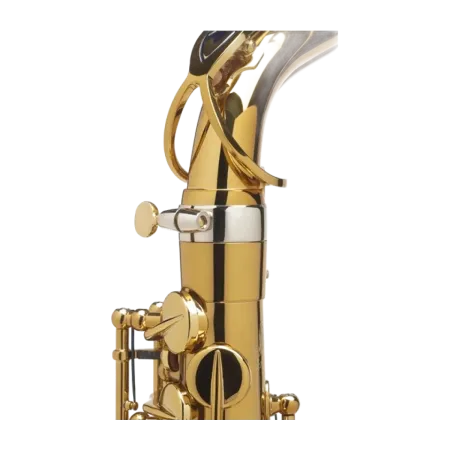 Saxofone Alto Selmer Supreme DGG Goldmessing - Sanganxa.com