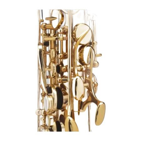 Saxofone Alto Selmer Supreme DGG Goldmessing - Sanganxa.com