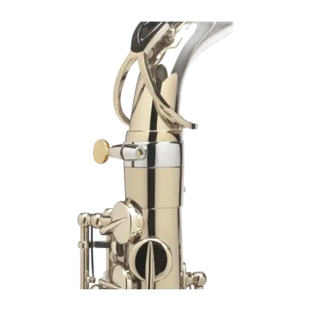 Saxofone Alto Selmer Supreme PAO Passivado - Sanganxa.com