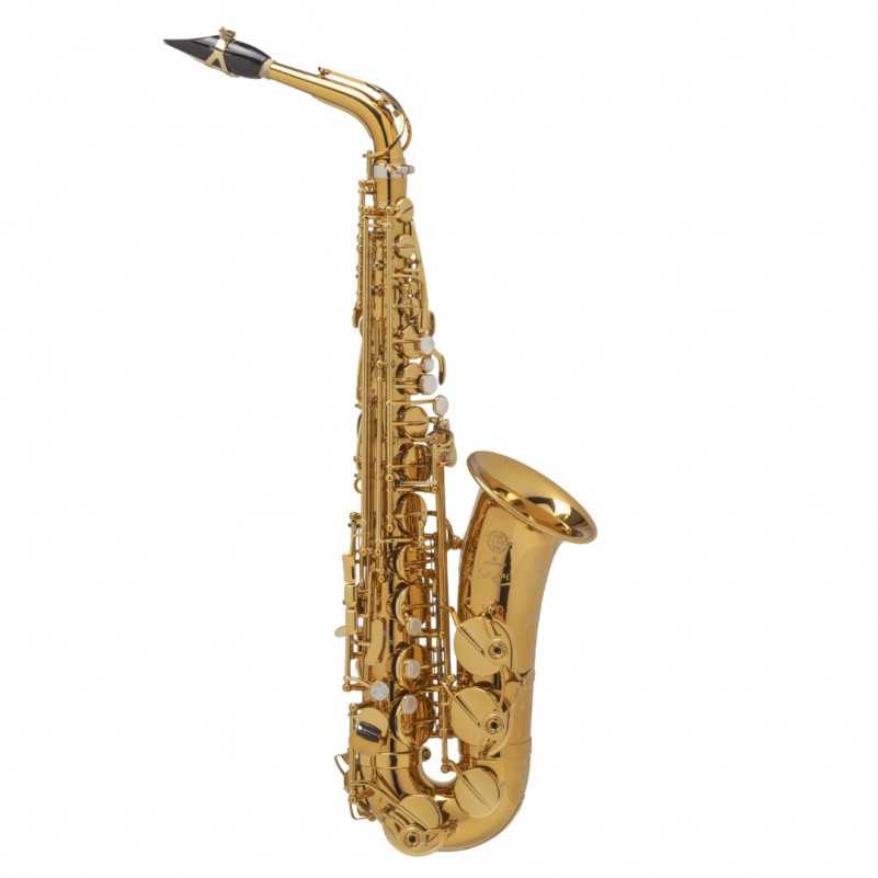 SAXOPHONE HIGH SELMER SUPREME DGG GOLDMESSING Selmer - 1