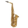 SAXO ALTO SELMER SUPREME DGG GOLDMESSING Selmer - 1