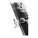 Clarinete Buffet Divine BC1160L 19 Teclas - Sanganxa.com