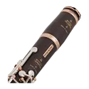 Clarinete buffet de 19 teclas Legende BC1156L - Sanganxa.com