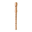 Gravador HOHNER 9565