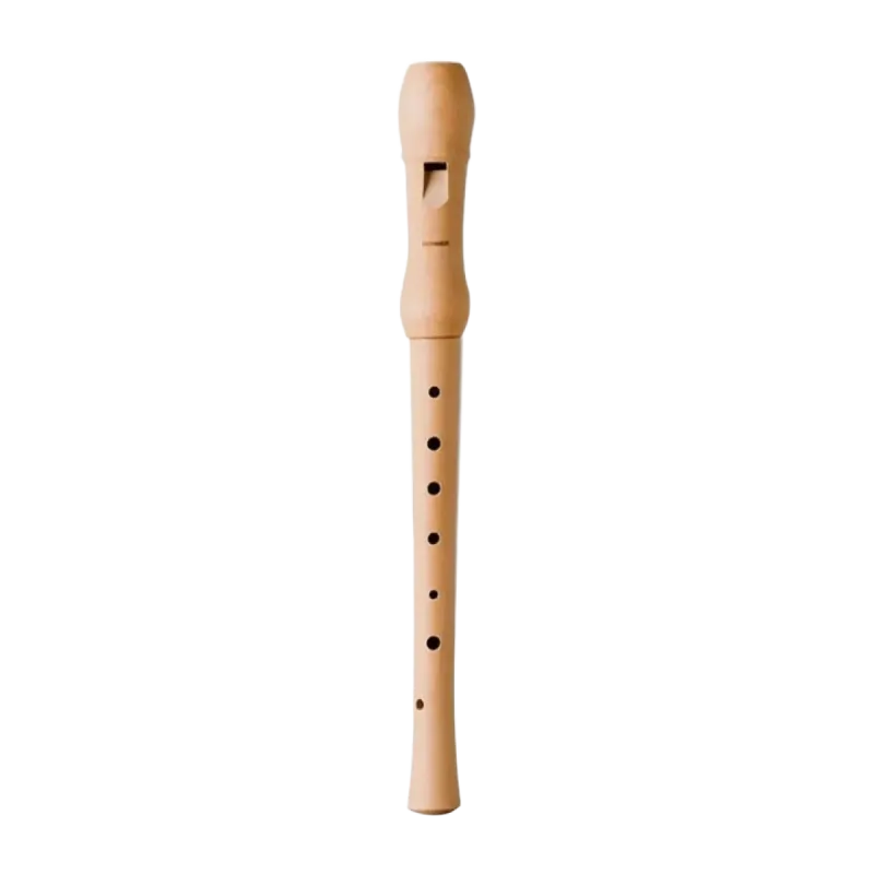Gravador HOHNER 9565