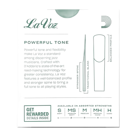 palhetas para clarinete d'addario la voz -  sanganxa.com