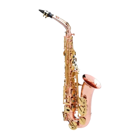 SAXO ALTO BUFFET SENZO BC2525-7B-0 1