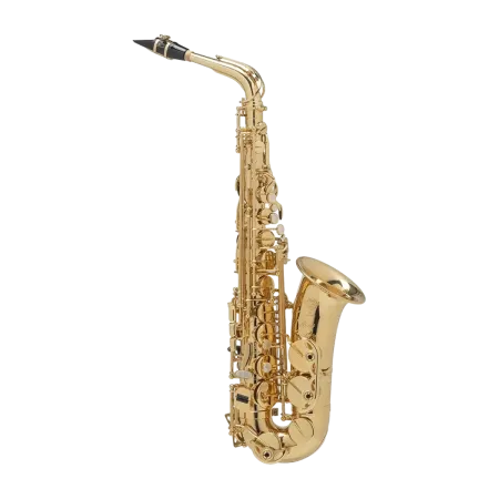 Saxofone Alto Selmer Seles Série Axos - Sanganxa.com