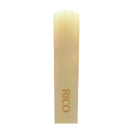D'ADDARIO ROYAL 2 REEDS : Sanganxa Loja de música Sanganxa.com