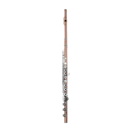 Flauta Sankyo DT10K 2BE - Flauta de Ouro - Sanganxa.com