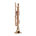 Trompete Adams A9 Modelo Selecionado 0.50 Laca Cobre - Sanganxa.com