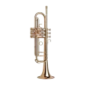 Trompete Adams A7 Modelo selecionado 0.40 - Sanganxa.com