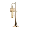 TROMPETE ADAMS C1XL C1XL 0.55 LACADO GOLDMESSING