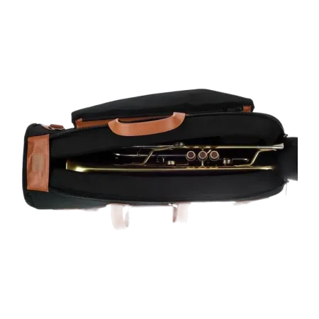 TROMPETA ADAMS C1XL CUSTOM SERIES 0.55 LACADA  GOLDMESSING  7
